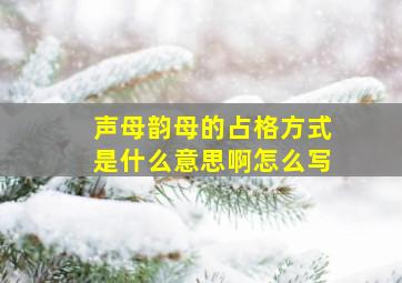 声母韵母的占格方式是什么意思啊怎么写