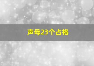 声母23个占格