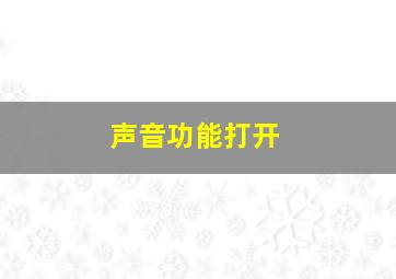 声音功能打开