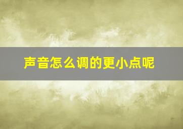 声音怎么调的更小点呢