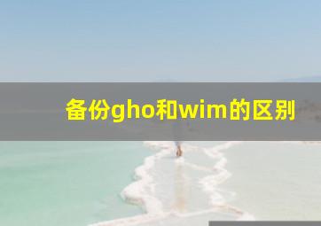 备份gho和wim的区别