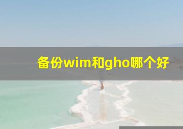 备份wim和gho哪个好