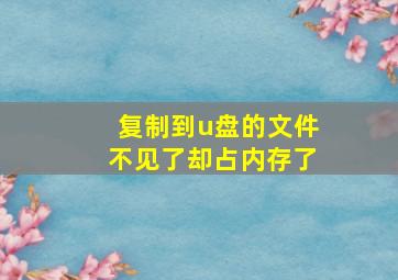 复制到u盘的文件不见了却占内存了