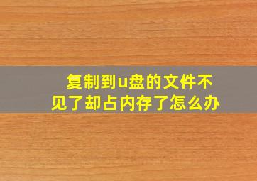 复制到u盘的文件不见了却占内存了怎么办