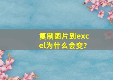 复制图片到excel为什么会变?