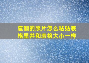 复制的照片怎么粘贴表格里并和表格大小一样