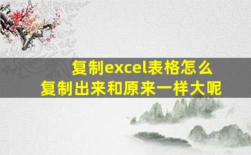 复制excel表格怎么复制出来和原来一样大呢