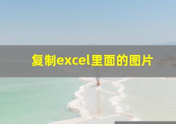 复制excel里面的图片