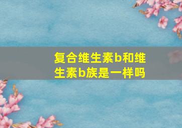 复合维生素b和维生素b族是一样吗