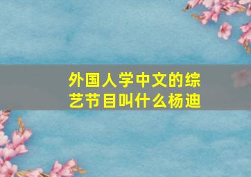 外国人学中文的综艺节目叫什么杨迪