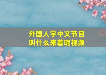 外国人学中文节目叫什么来着呢视频