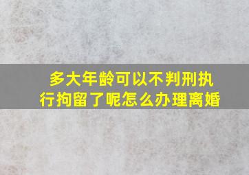 多大年龄可以不判刑执行拘留了呢怎么办理离婚