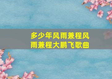 多少年风雨兼程风雨兼程大鹏飞歌曲