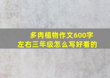 多肉植物作文600字左右三年级怎么写好看的