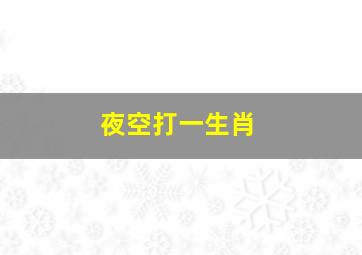 夜空打一生肖