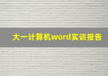 大一计算机word实训报告