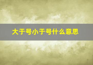 大于号小于号什么意思