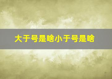 大于号是啥小于号是啥