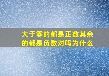 大于零的都是正数其余的都是负数对吗为什么