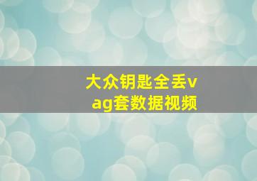 大众钥匙全丢vag套数据视频