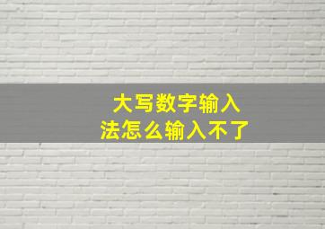 大写数字输入法怎么输入不了