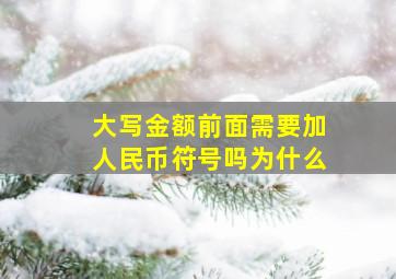 大写金额前面需要加人民币符号吗为什么