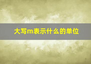 大写m表示什么的单位