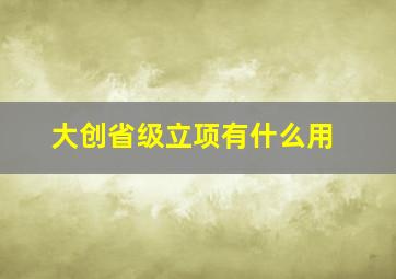 大创省级立项有什么用