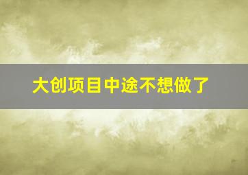 大创项目中途不想做了