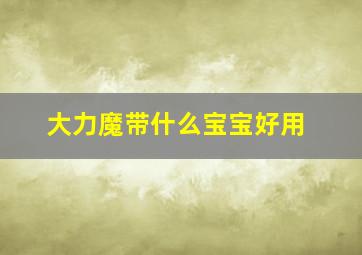 大力魔带什么宝宝好用