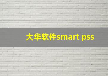 大华软件smart pss