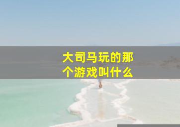 大司马玩的那个游戏叫什么