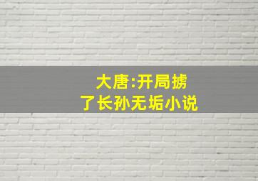 大唐:开局掳了长孙无垢小说