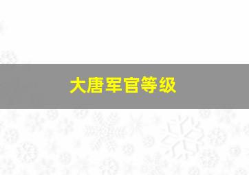 大唐军官等级