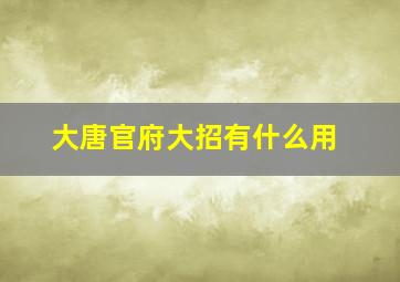 大唐官府大招有什么用