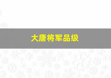 大唐将军品级