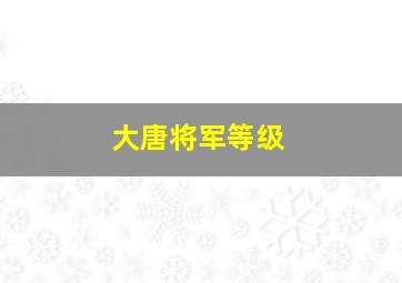 大唐将军等级