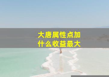 大唐属性点加什么收益最大