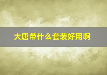 大唐带什么套装好用啊