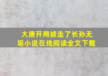 大唐开局掳走了长孙无垢小说在线阅读全文下载