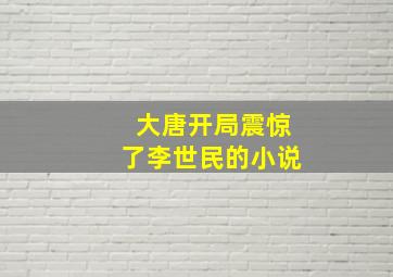 大唐开局震惊了李世民的小说