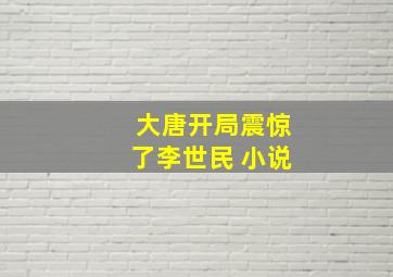 大唐开局震惊了李世民 小说