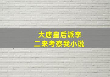 大唐皇后派李二来考察我小说