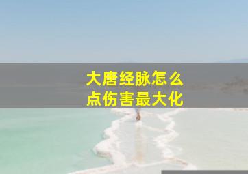 大唐经脉怎么点伤害最大化