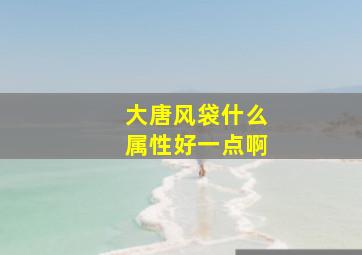 大唐风袋什么属性好一点啊