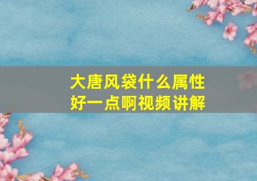 大唐风袋什么属性好一点啊视频讲解