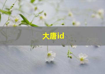 大唐id