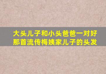 大头儿子和小头爸爸一对好那首流传梅姨家儿子的头发