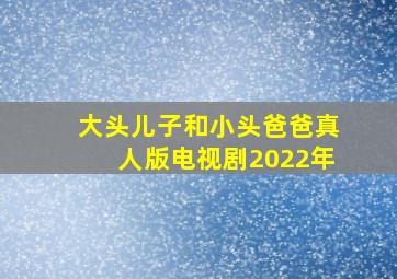 大头儿子和小头爸爸真人版电视剧2022年