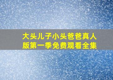 大头儿子小头爸爸真人版第一季免费观看全集